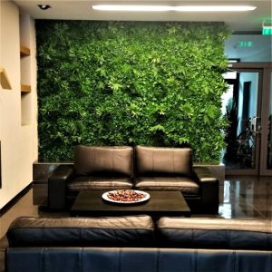 installing an artificial green wall
